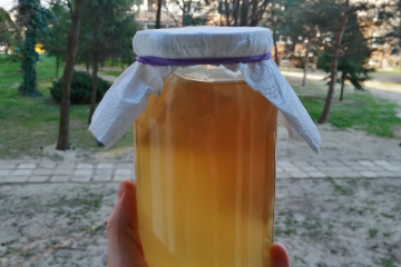 Kombucha